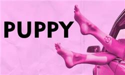 Click to view details and reviews for Puppy.